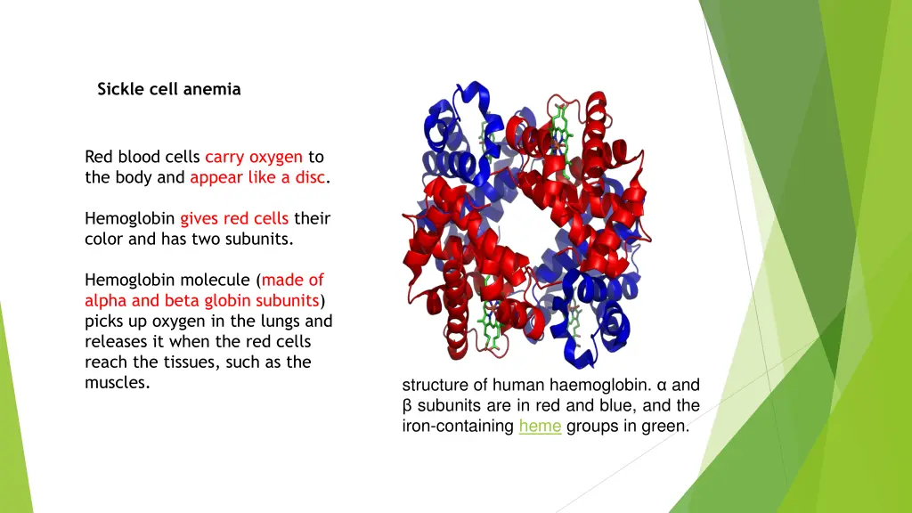 sickle cell anemia 1