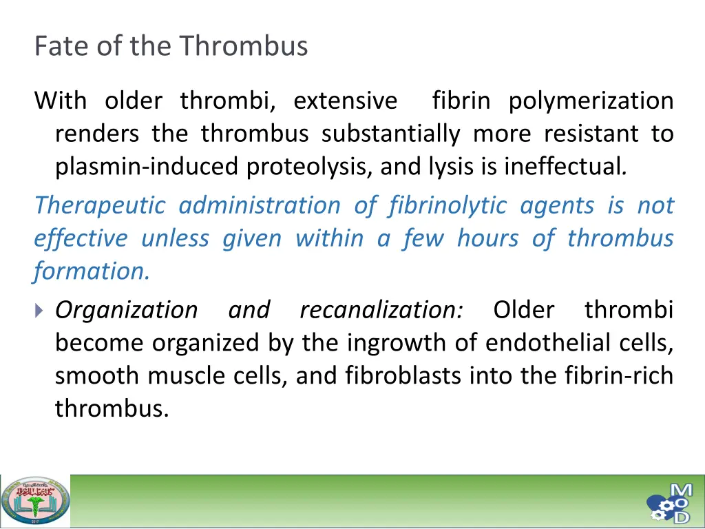 fate of the thrombus 2