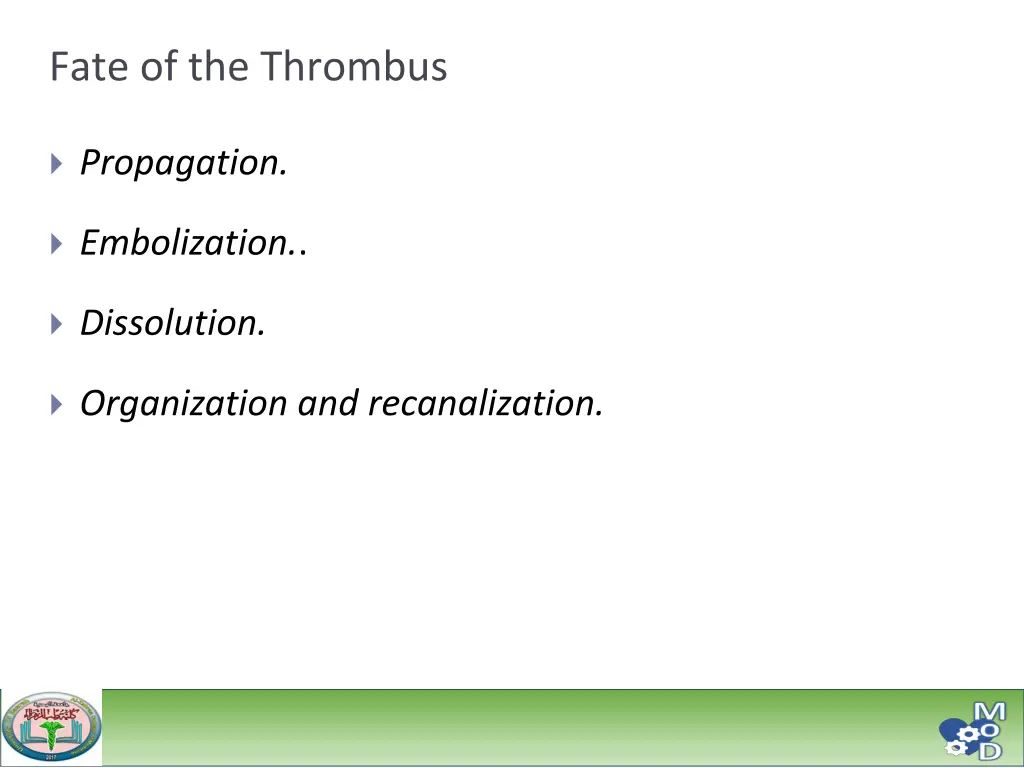 fate of the thrombus