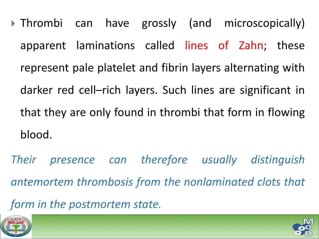 thrombi can have grossly and microscopically