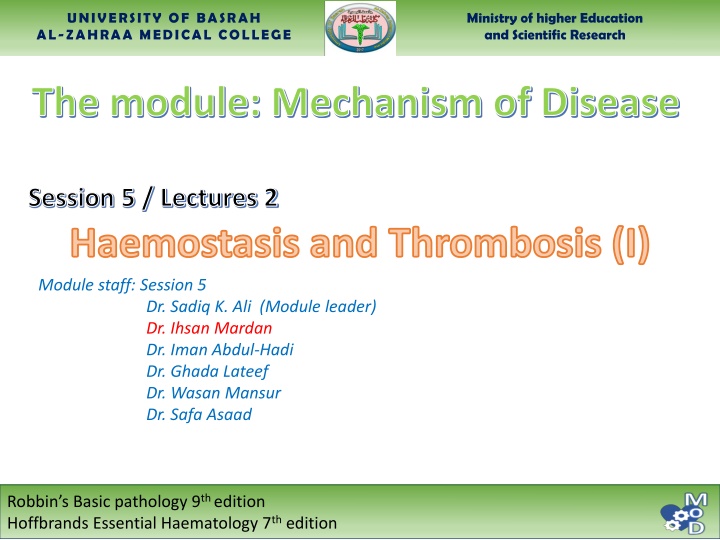 university of basrah al zahraa medical college