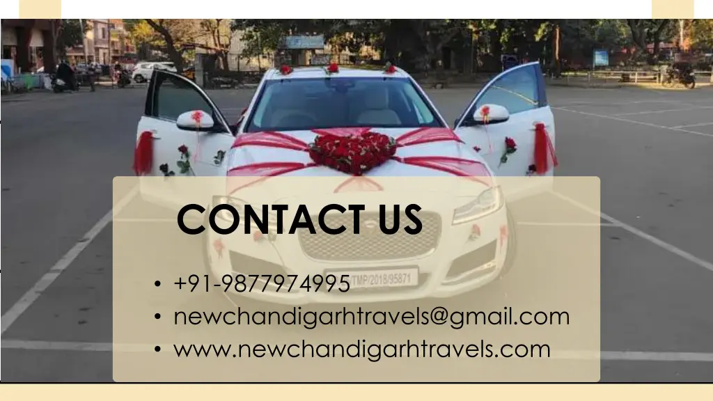contact us