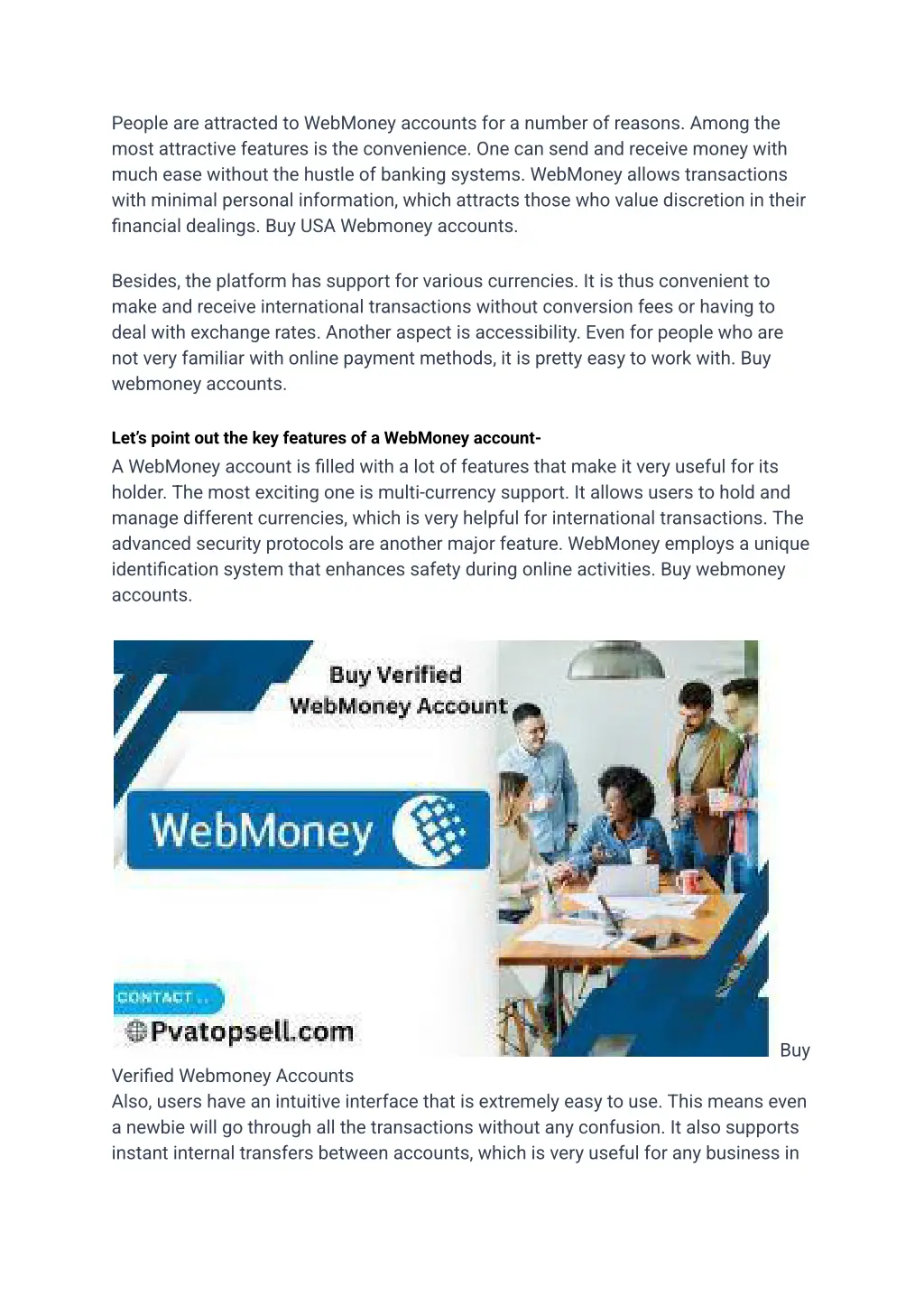 people are attracted to webmoney accounts