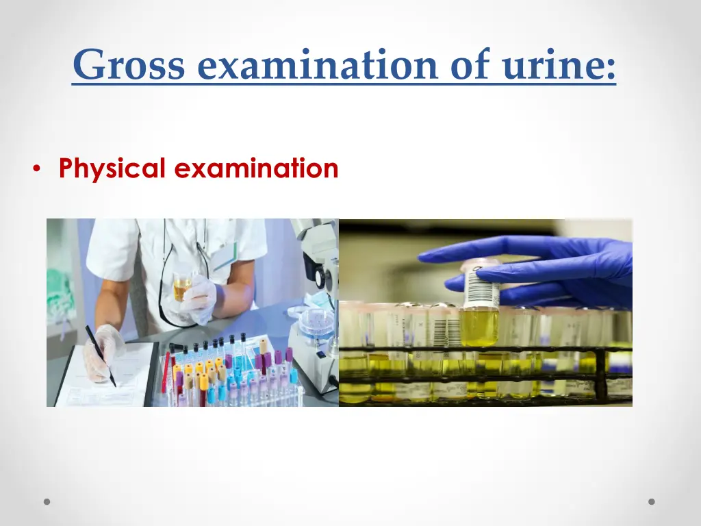 gross examination of urine