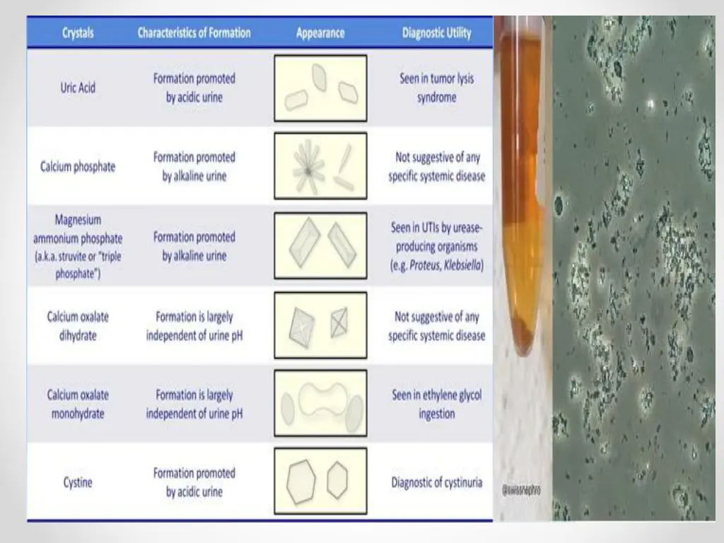 slide20