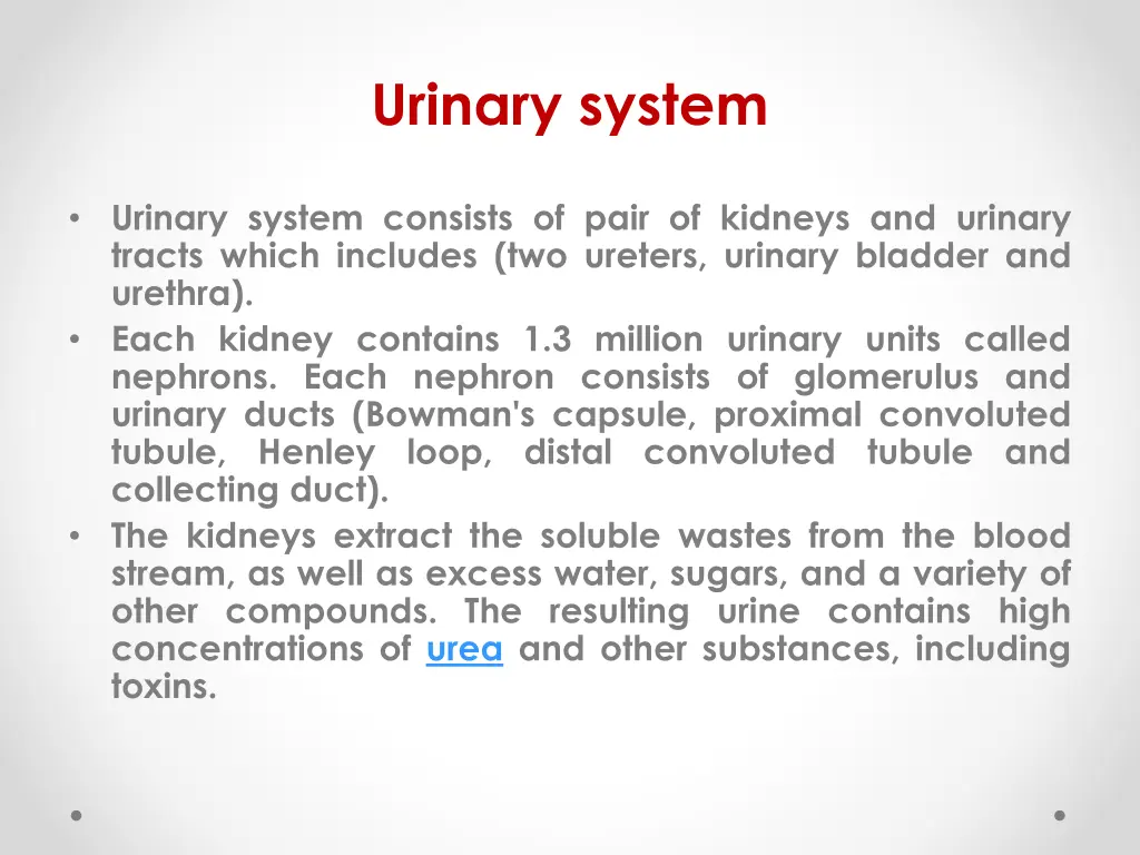 urinary system