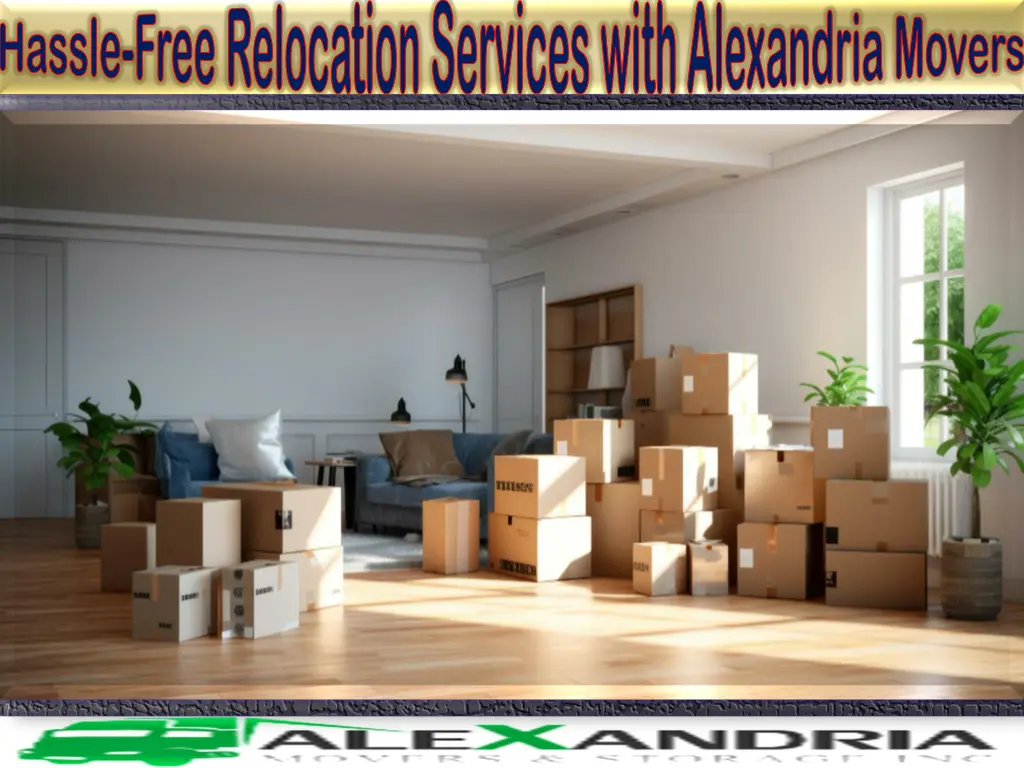 hassle free relocation services with alexandria 2