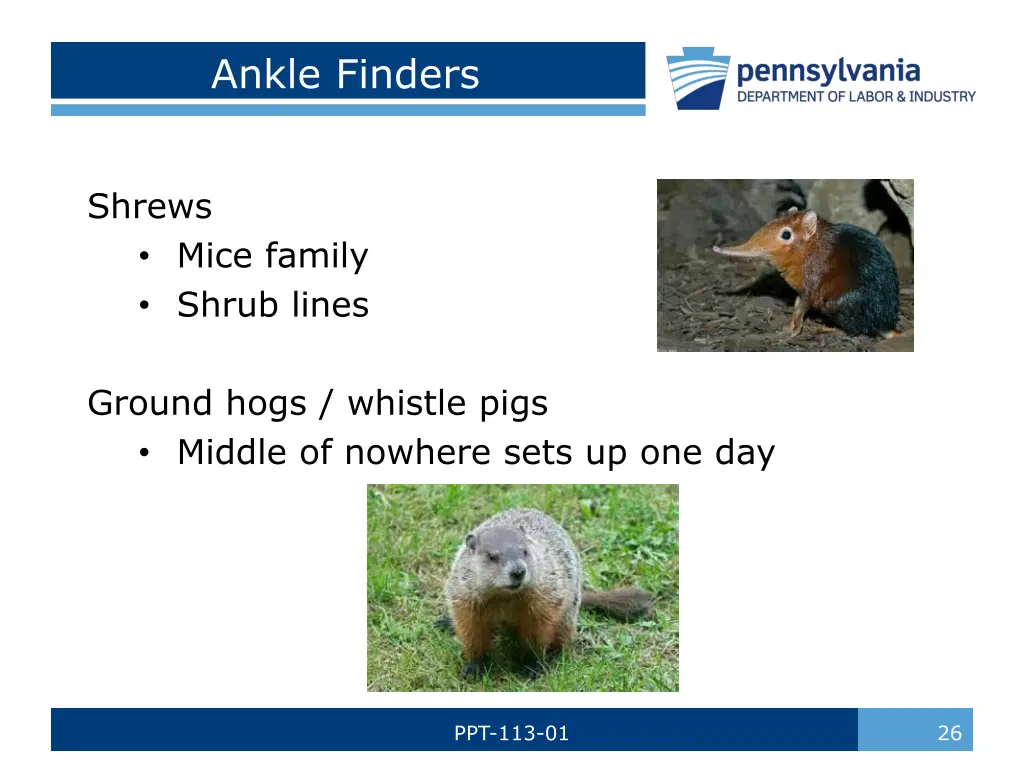 ankle finders