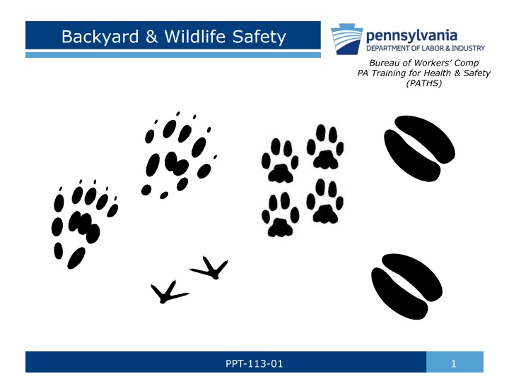 backyard wildlife safety