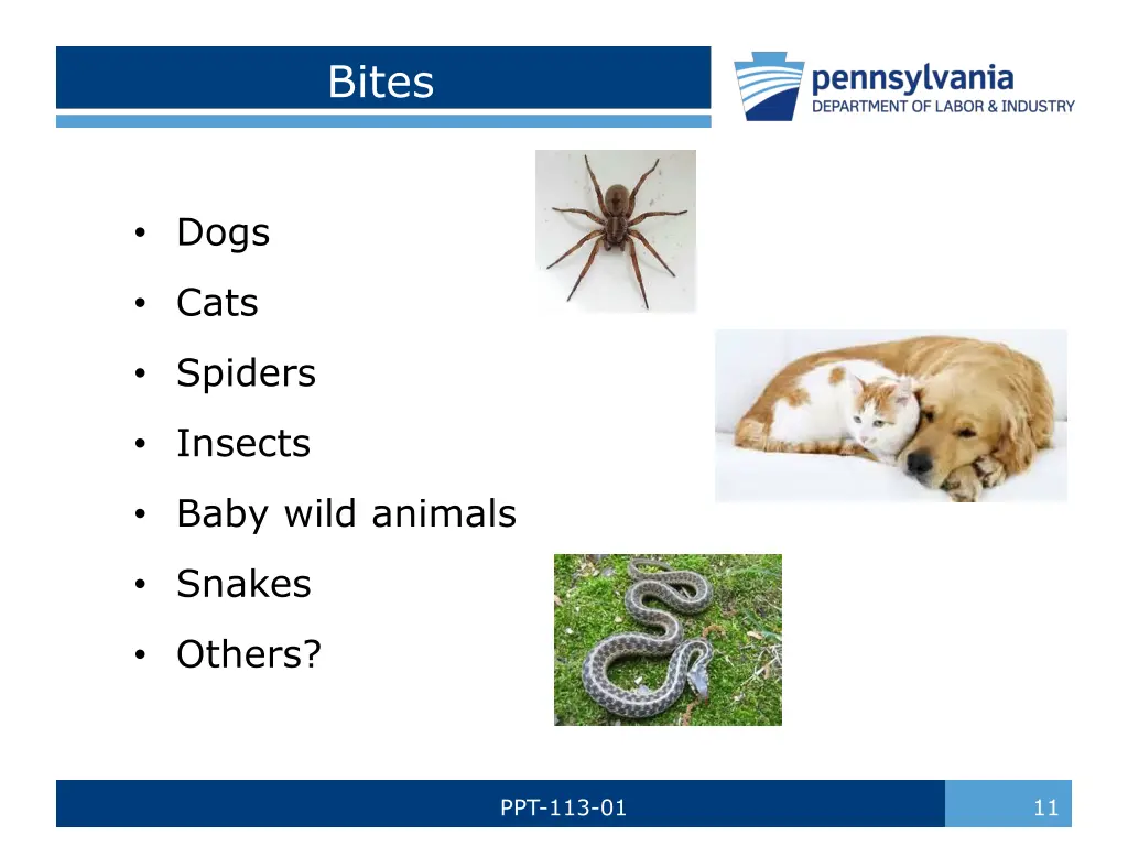 bites