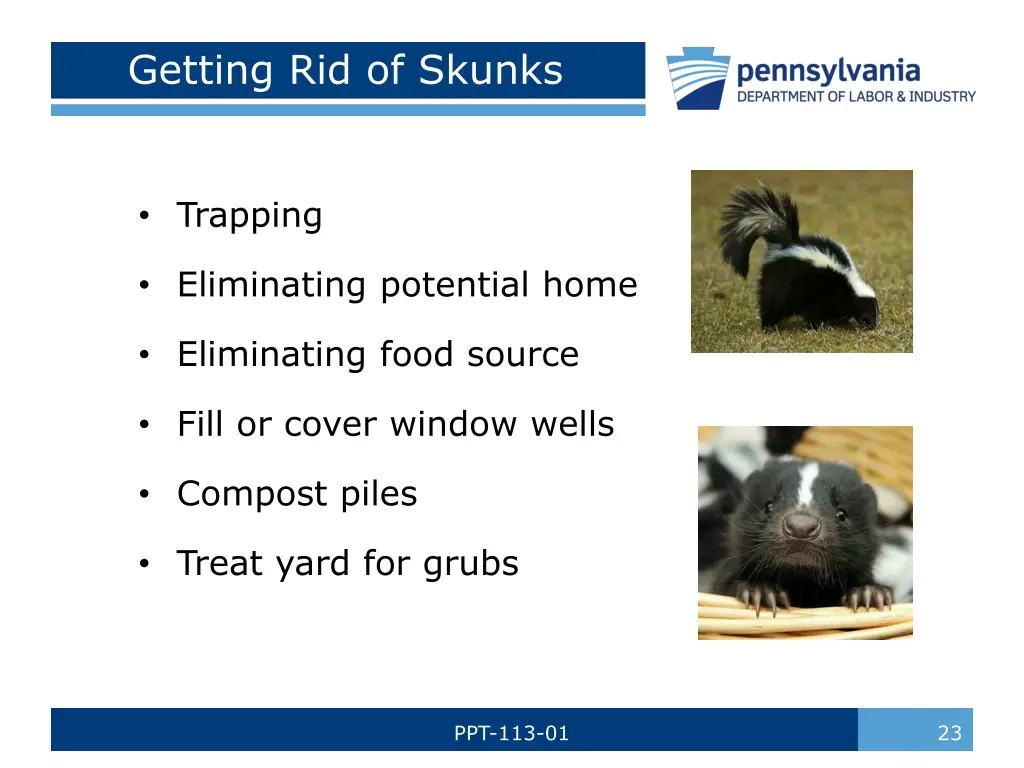getting rid of skunks