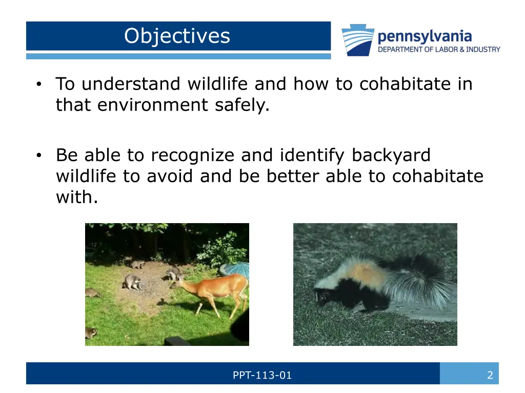 objectives