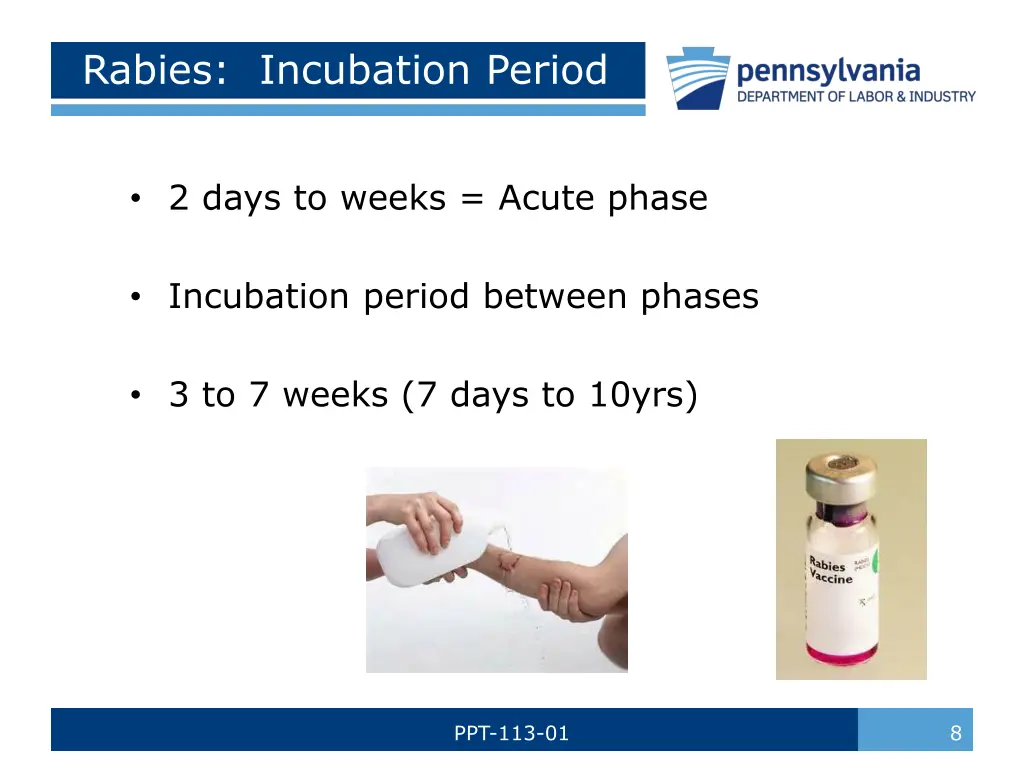 rabies incubation period