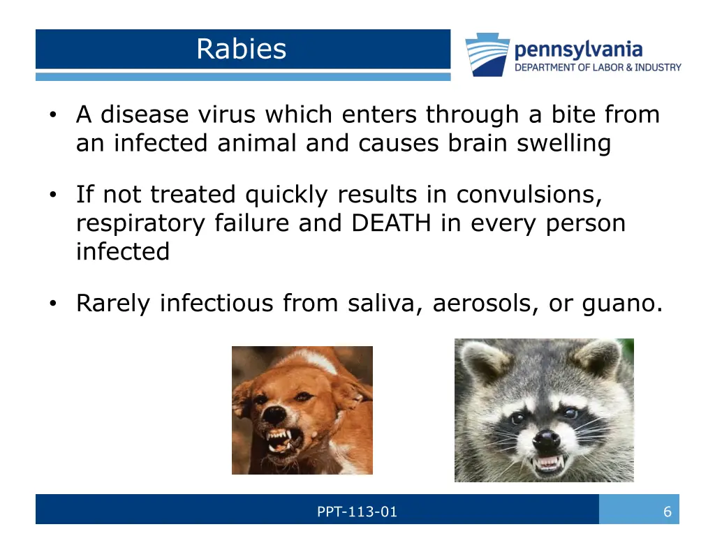 rabies