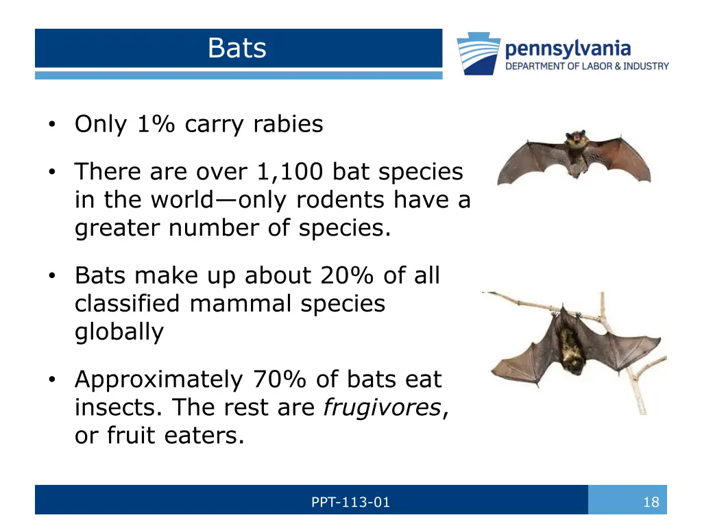 slide18