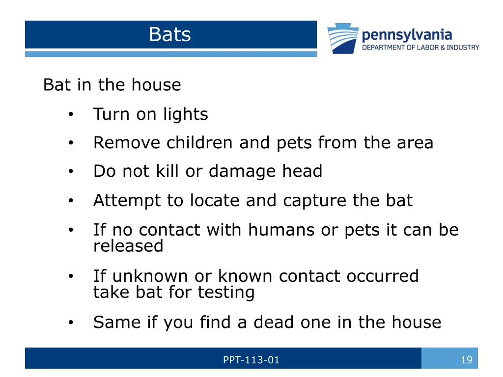 slide19