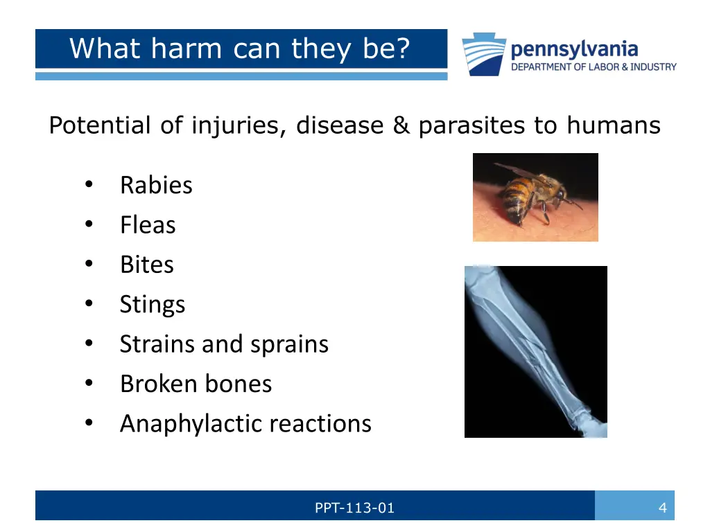 what harm can they be