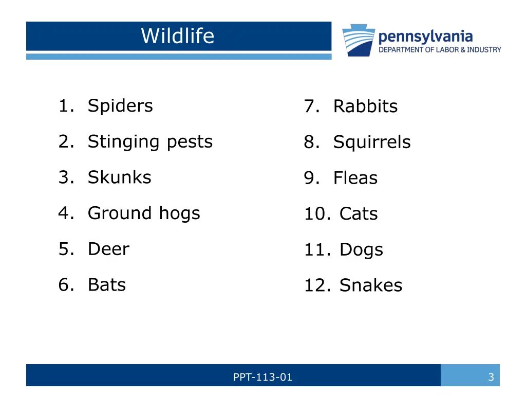 wildlife