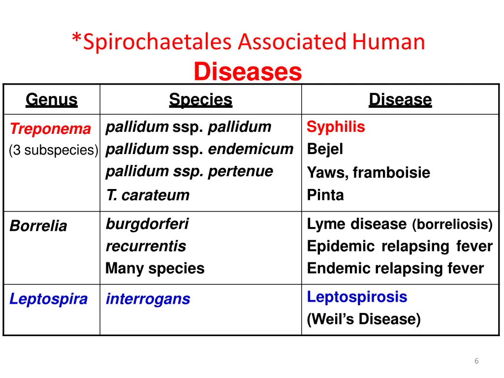 spirochaetales associatedhuman diseases