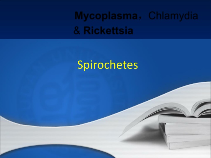 spirochetes