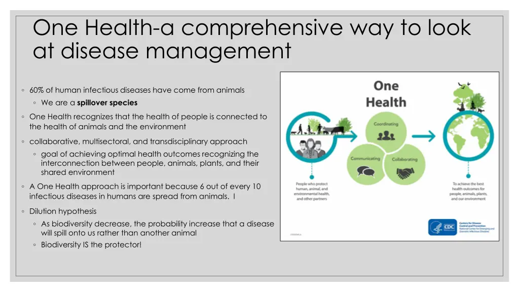 one health a comprehensive way to look at disease