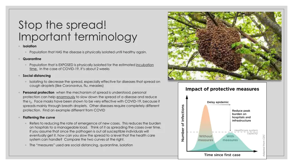 stop the spread important terminology isolation