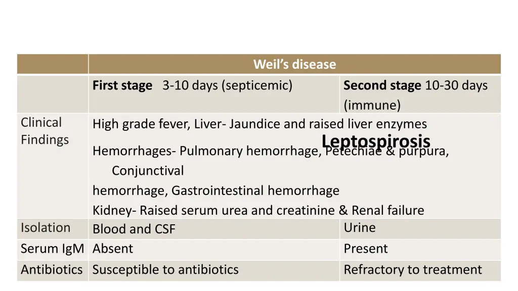weil s disease