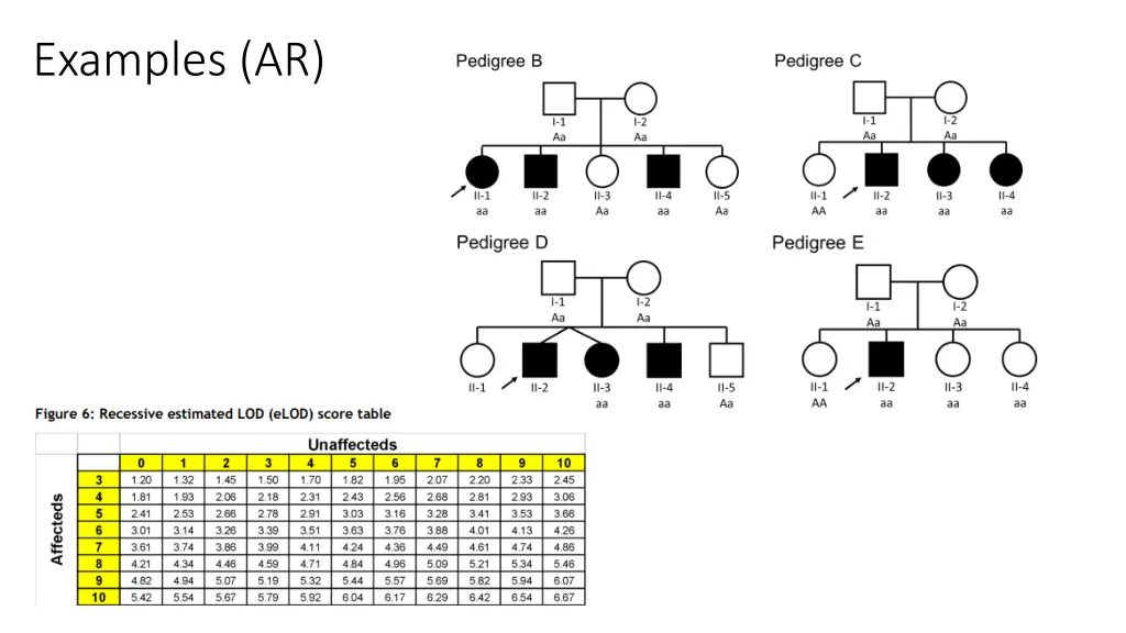 examples ar