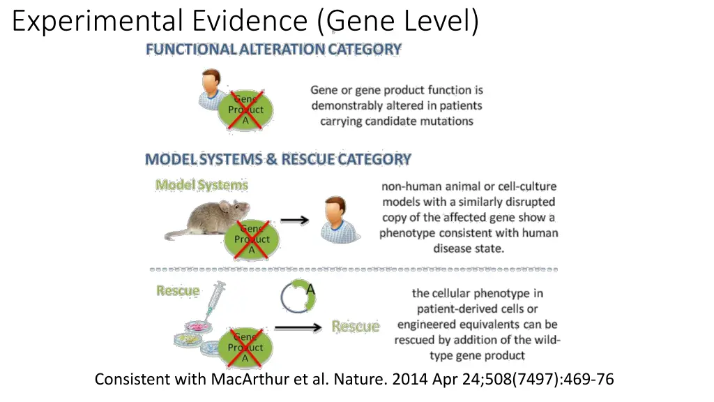 experimental evidence gene level 1