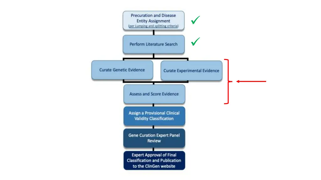 slide11