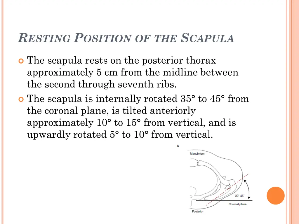r esting p osition of the s capula