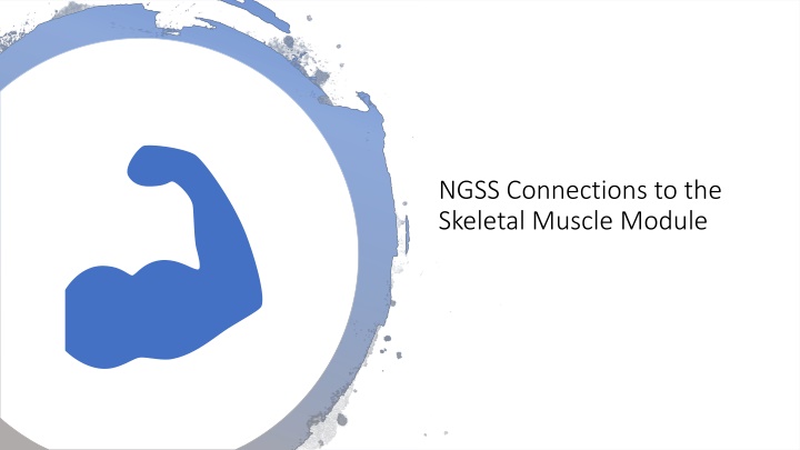 ngss connections to the skeletal muscle module