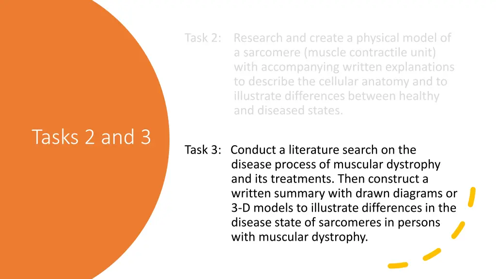 task 2 research and create a physical model 1