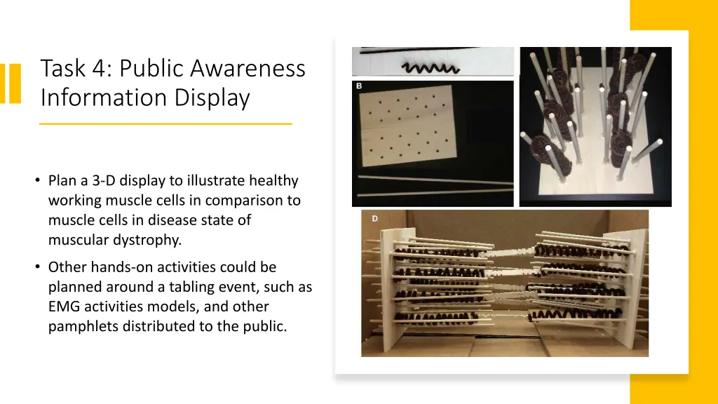 task 4 public awareness information display