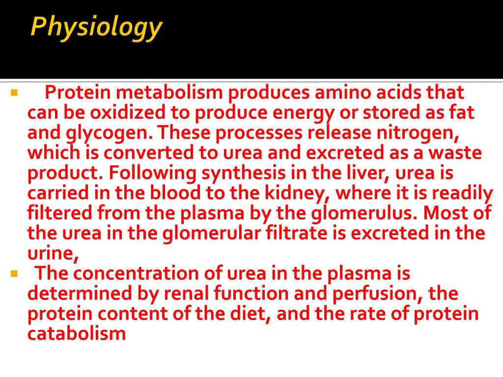 protein metabolism produces amino acids that