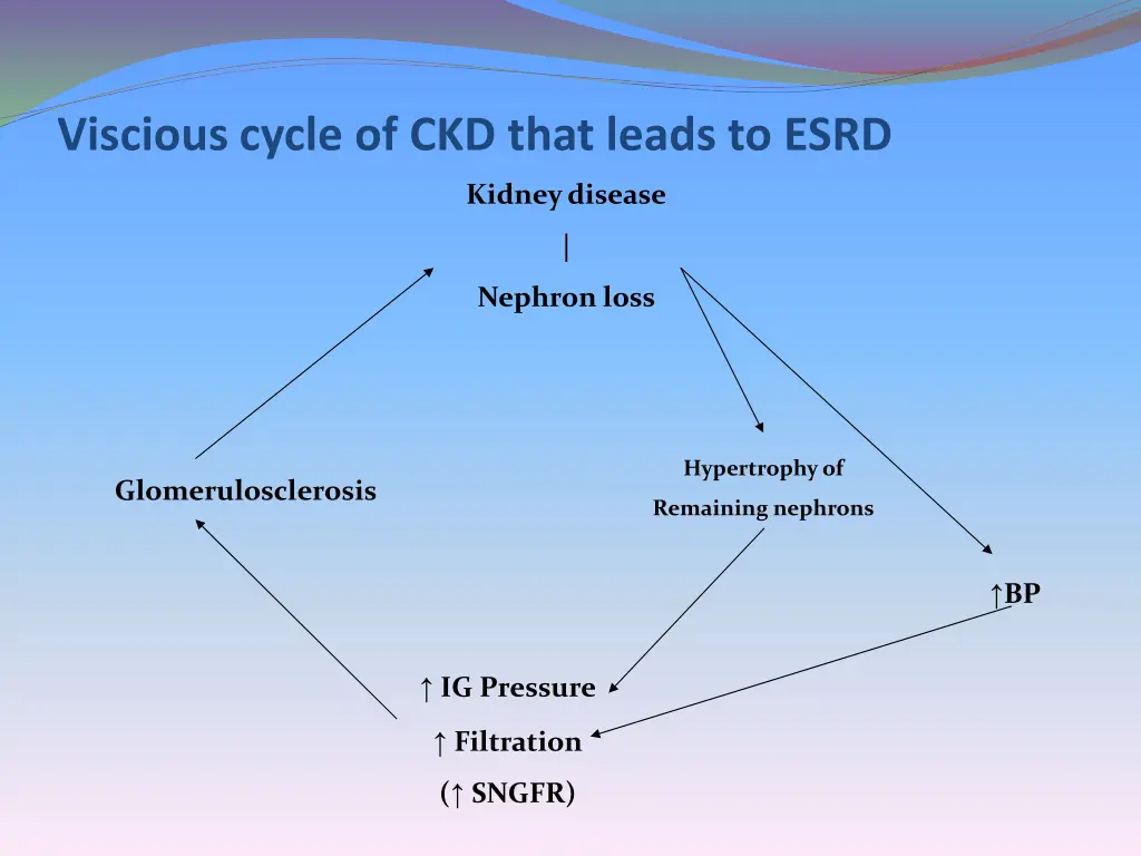 viscious cycle of ckd that leads to esrd