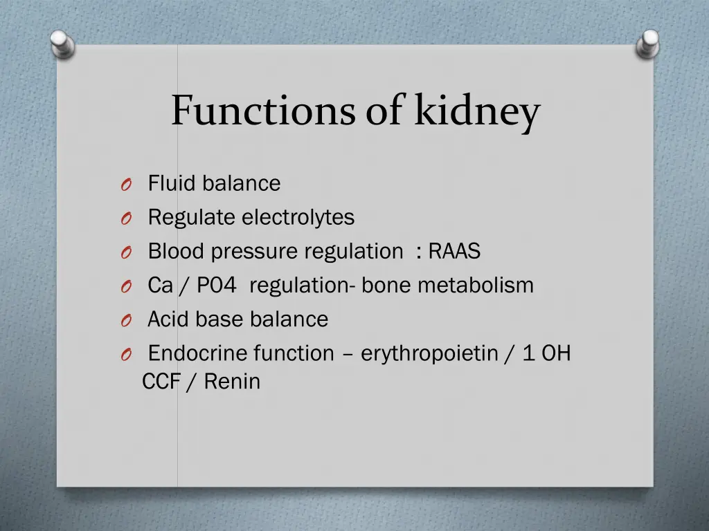 functions of kidney