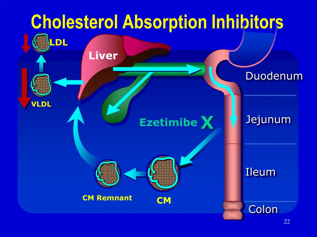cholesterol absorption inhibitors ldl