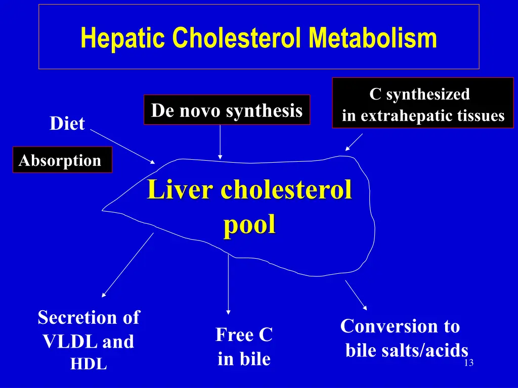hepatic cholesterol metabolism