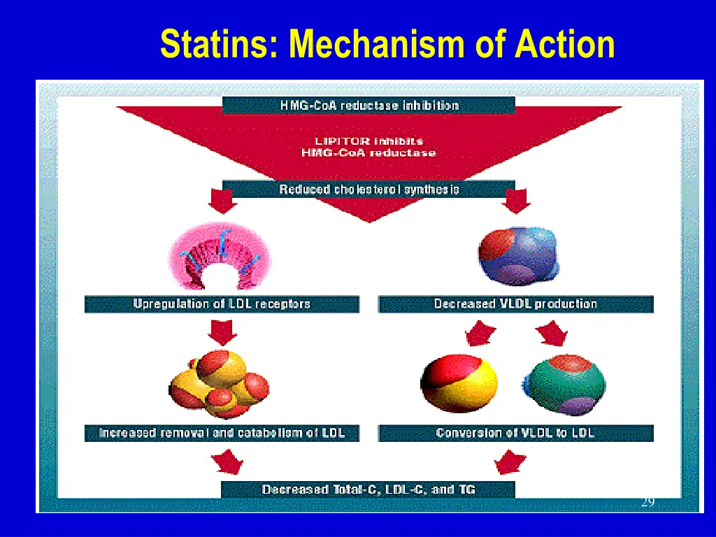 statins mechanism of action 1