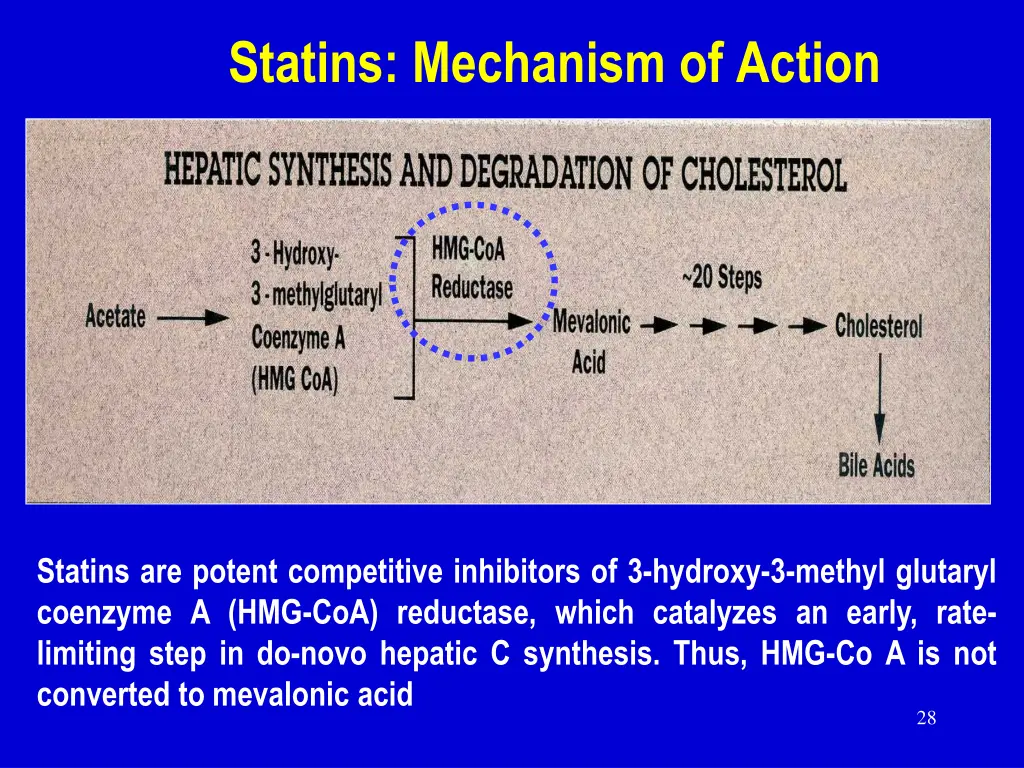 statins mechanism of action