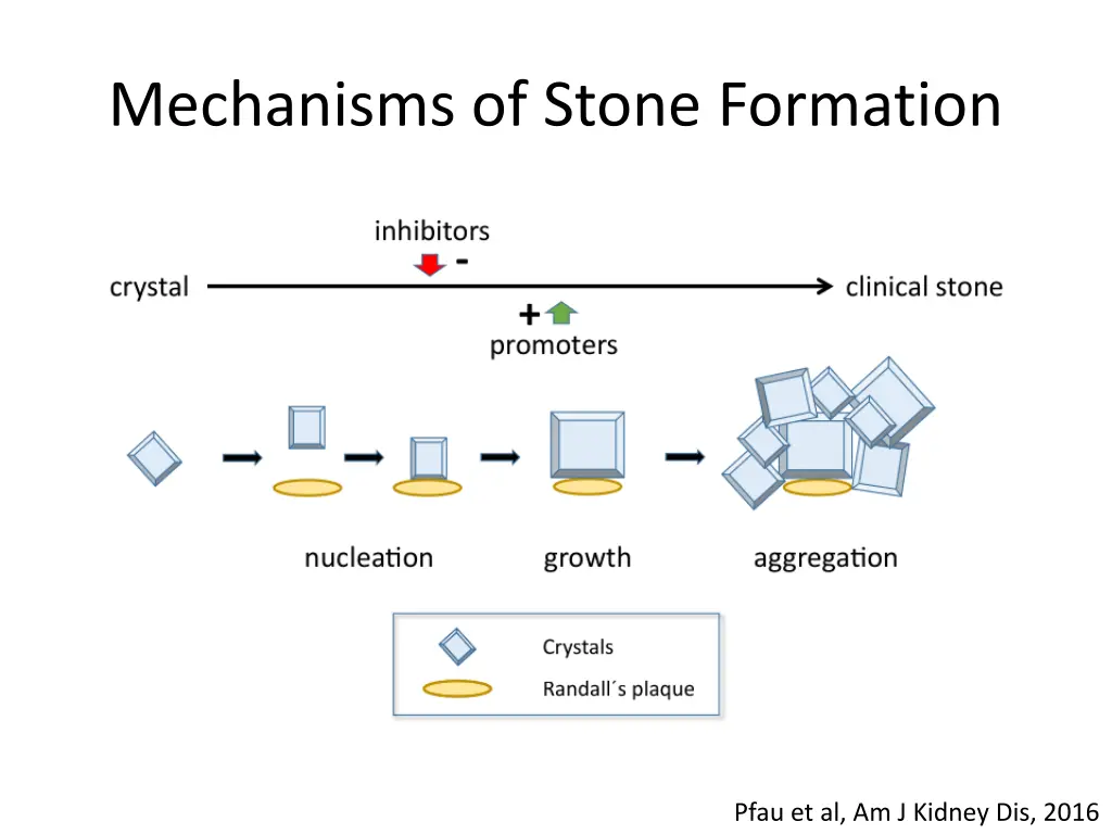mechanisms of stone formation
