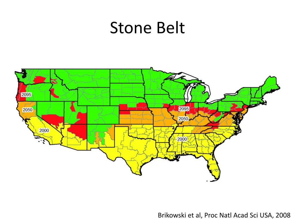 stone belt