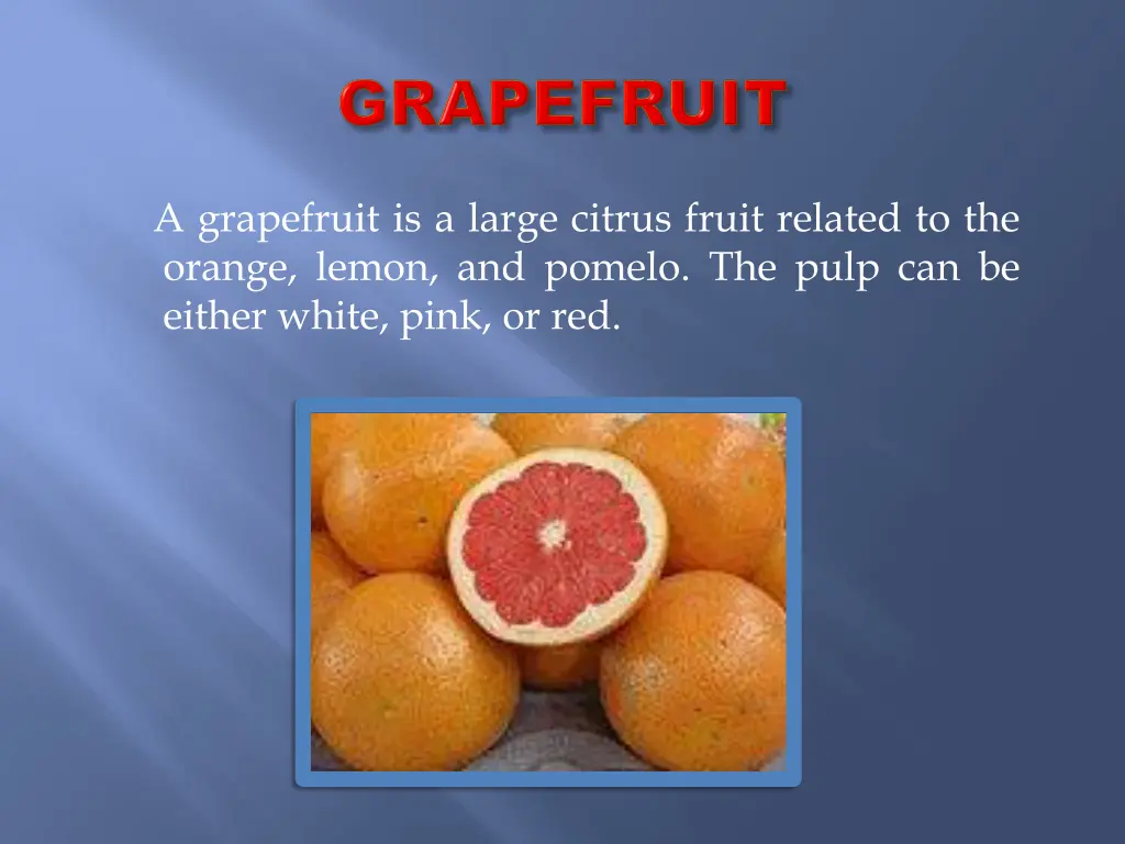 a grapefruit is a large citrus fruit related