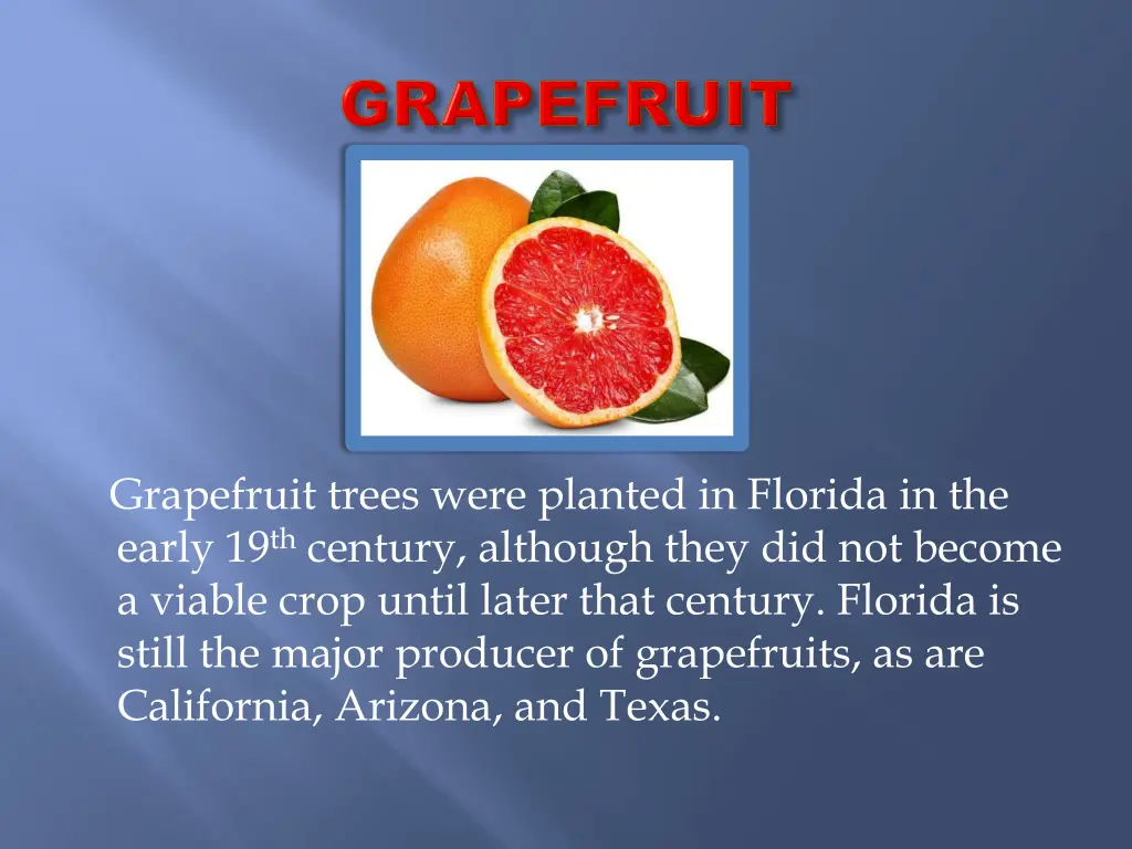 grapefruit trees were planted in florida
