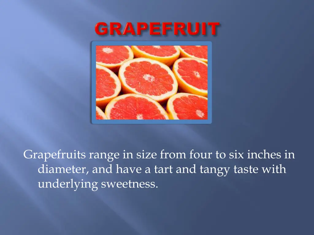 grapefruits range in size from four to six inches