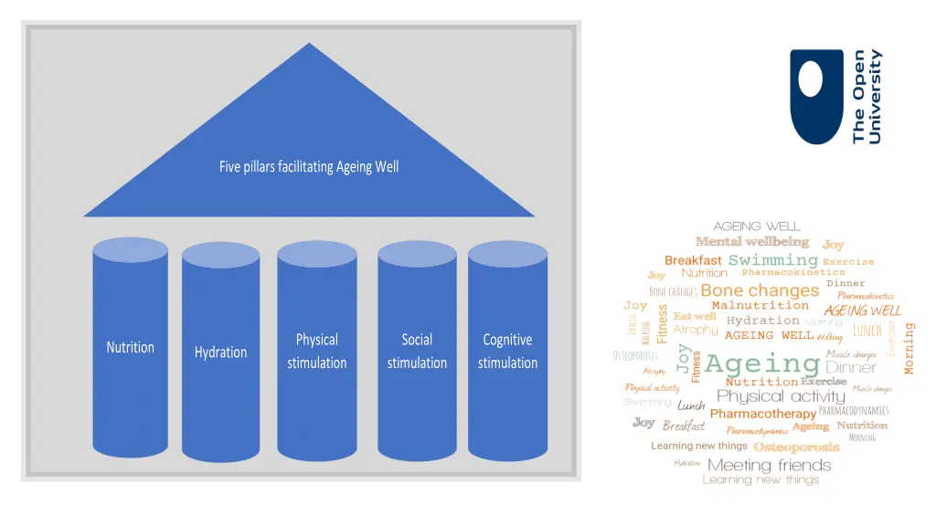 five pillars facilitating ageing well