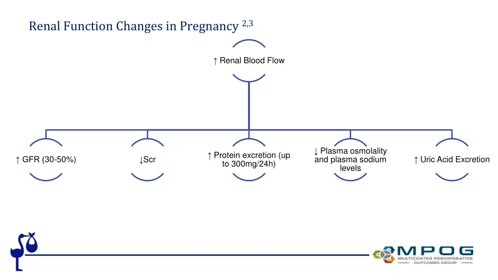 renal function changes in pregnancy 2 3