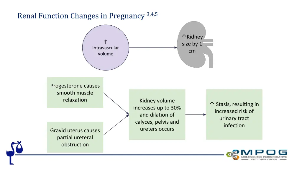 renal function changes in pregnancy 3 4 5