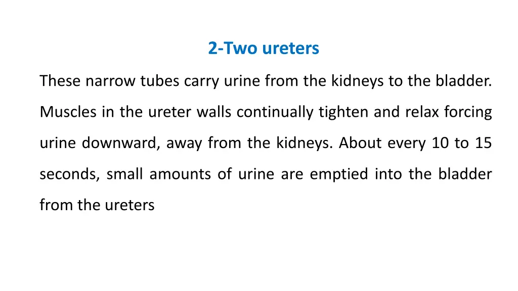 2 two ureters